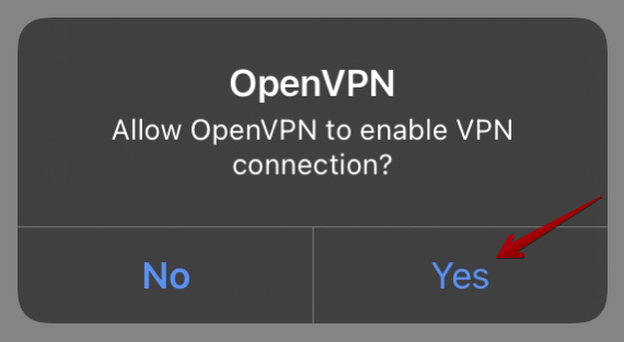Annar sprettigluggi frá OpenVPN að óska eftir leyfi fyrir VPN.