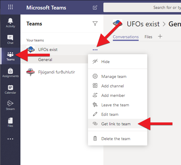 Click on Teams and choose Manage team under the three dots